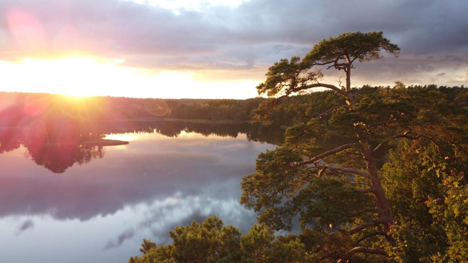 Ryteblota Resort & Spa Zbiczno Eksteriør billede